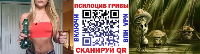 omg ССЫЛКА  Ногинск  Псилоцибиновые грибы ЛСД  сколько стоит 